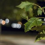 Bokeh