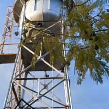 Foto09