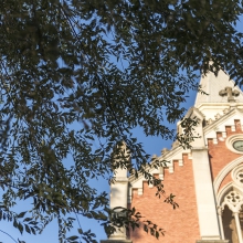 Foto05
